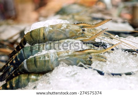 Fresh shrimp at the market for sell. Close up.