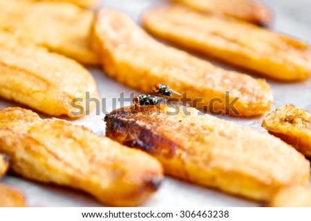 Fly swarm around fry food exposed to sunlight. Files disease risk. Close up and macro.
