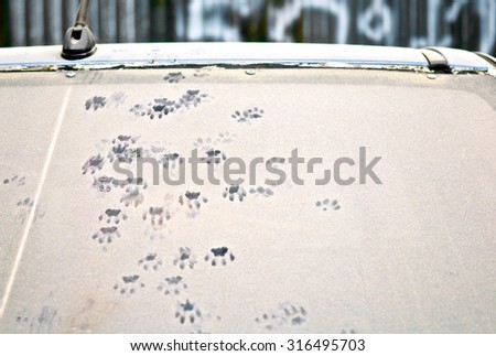Dog footprints on car dust dirty rear window of the car. Animal stamp. WASH ME!. Close up. Front view.