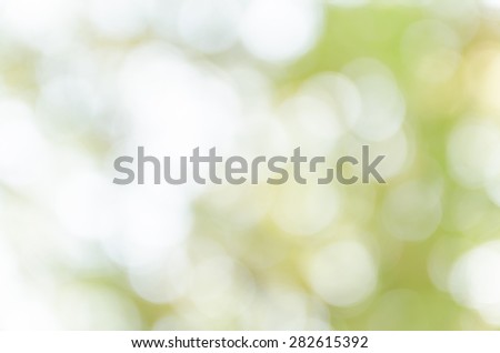 Beautiful bokeh derive from nature use as background