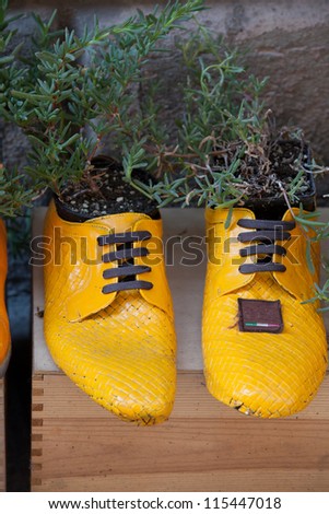 old shoes processed on flowerpots