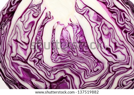 Red Cabbage cross section on White Background