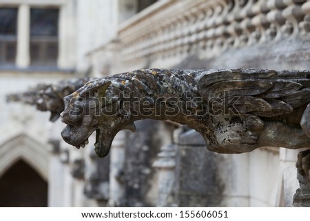 Gargoyle on Gothic cathedral of Saint Gatien in Tours, Loire Valley  France