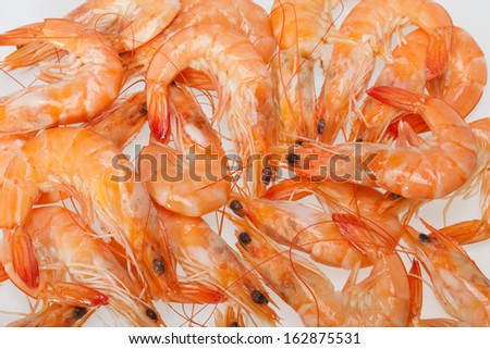 fresh shrimp  isolated on a white background