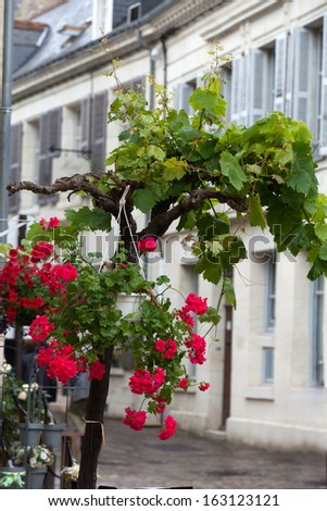 Romantic streets in French country towns in the Valley of Loire