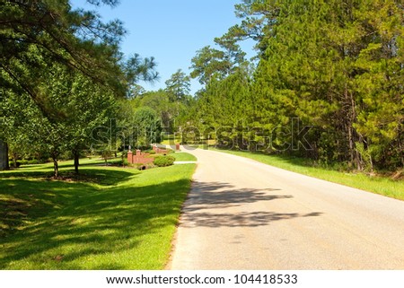Tree lined country street in rural community