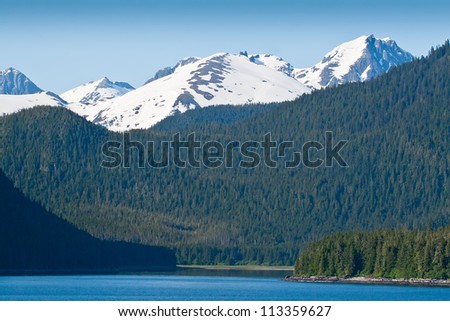 Spruce Tree mountains and snow capped mountains in Alaska