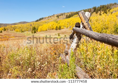 Broken fence in field of aspen trees in Colorado