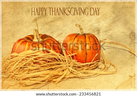 Happy Thanksgiving Day greeting card, with text, pumpkins and border