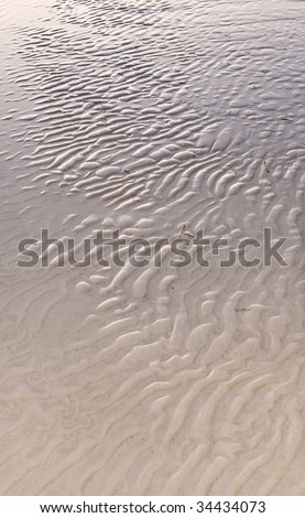 View of Wavy Lines in the Sand