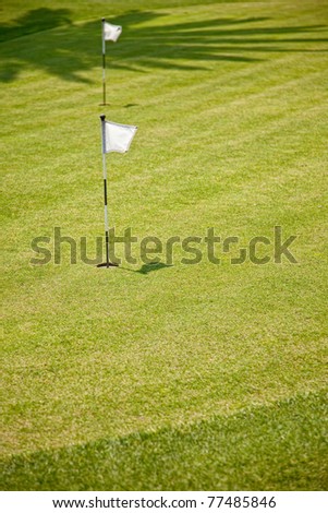 Golf Putting Green and Flag