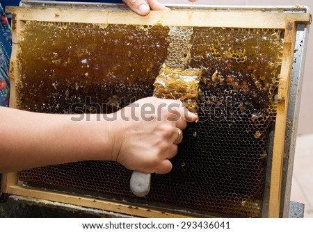 Extracting honey - Manually