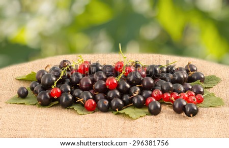 red and black currant on linen tablecloth on a background of foliage/red and black currant on table on a background of foliage