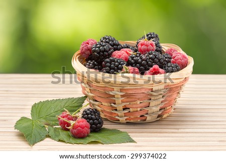 Blackberry and raspberry in wicker basket on a background of green foliage