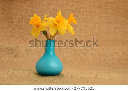 Dried-up yellow narcissus bouquet in a blue vase on background of jute cloth (darker take)