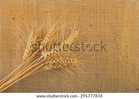Jute canvas with nine wheat ears, add your text