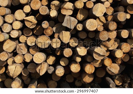 Woodpile cutting timber for the forestry and timber industry