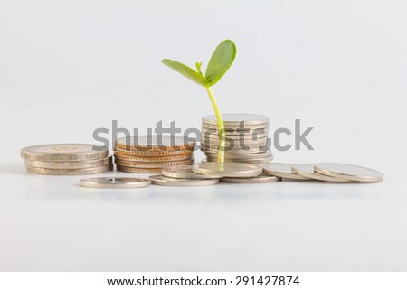 Growing plant step with coin money