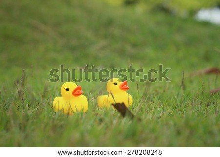 Yellow rubber duck on a background of green grass.