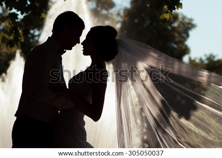 Silhouette of bride and groom at fountain