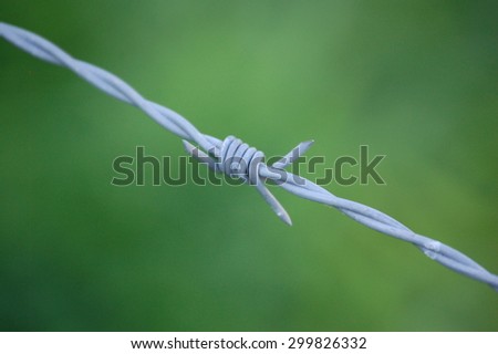 Metal Barb Wire