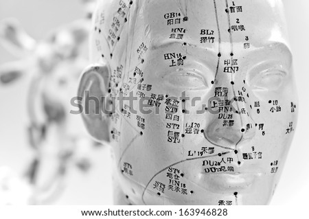 Acupuncture head model