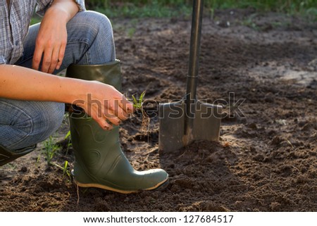 Weeding of kitchen garden in green boots, close-up