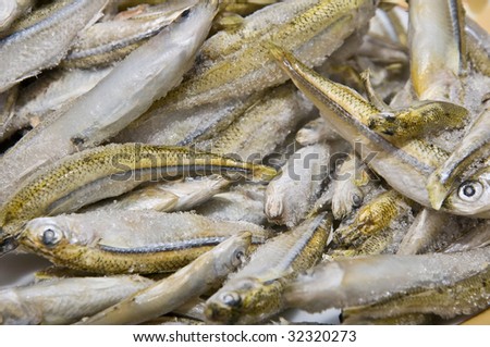 Piled frozen fish