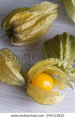 Group of physalis or Cape Gooseberry on white wood background with berry