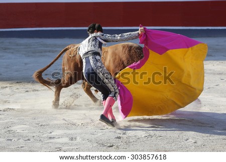 Fighting bull in the bullring. National holiday in Spain
