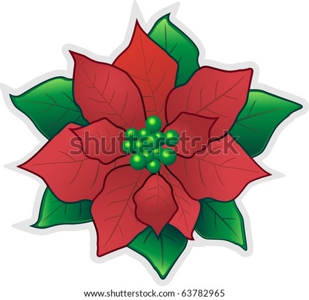 Christmas Flowers on Red Christmas Flower Poinsettia Stock Photo 63782965   Shutterstock