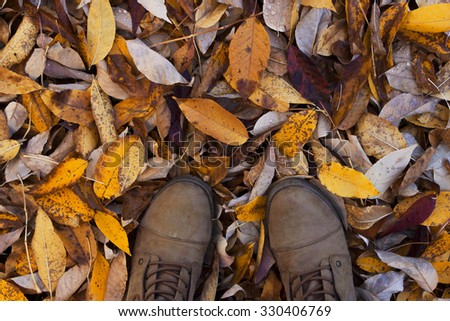 Boots in a Pile of Leaves