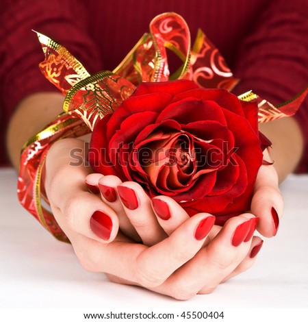 Close-up manicured hands and golden ribbon holding red rose
