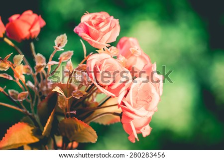 Pink rose vintage flowers