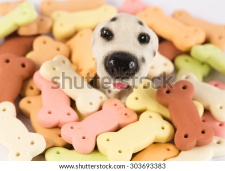 Pile of dog biscuits in the shape of a bone for dog and puppy dog : strawberry, milk, chocolate, vanilla, orange , butter with resin dog.