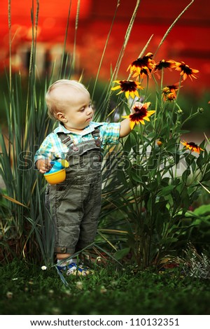 little boy with a watering can check the quality of flowers
