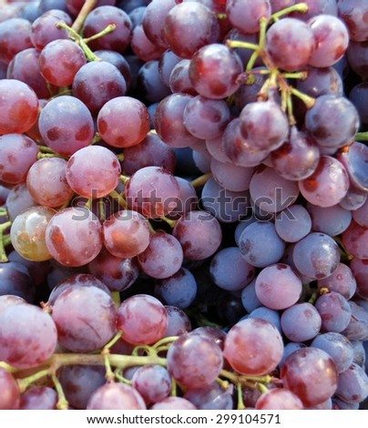 Ripe red grape