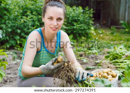Young woman working in garden, harvesting unwashed organic potatoes from the soil.