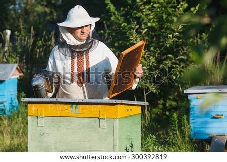 A beekeeper in a protective hat wearing on white pants and shirt with bee smoker checking his frame of honeycomb, in the garden