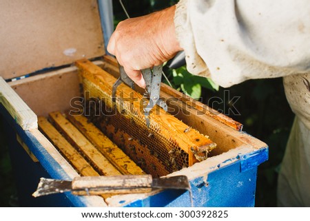 Beekeeper with equipment is holding a frame of honeycomb, which is on a blue hive