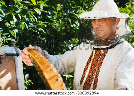 Beekeeper is looking on a wooden frame of honeycomb with bees in the garden background, close up