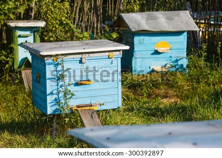 Blue wooden hive on the meadow with green grass on sunny summer day.