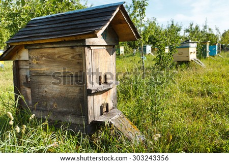 Side of wooden beehive with roof, which is standing in the bee-garden with multicolor wooden beehives on the background, close up