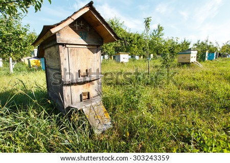Neat wooden beehive with roof is standing in the bee-garden with multicolor wooden beehives on the background, close up
