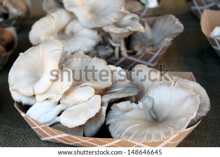 Bunches of fresh oyster mushrooms at the farmers market