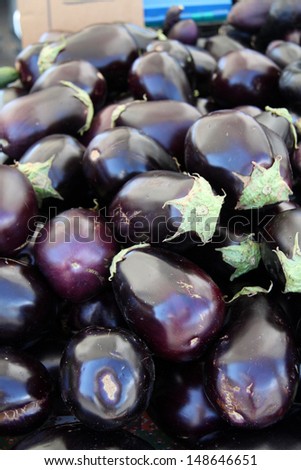 Bunches of fresh black beauty eggplant at the farmers market