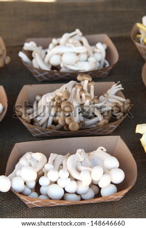 Bunches of fresh oyster bean mushrooms at the farmers market