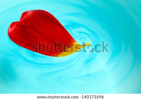 Red tulip petal in water