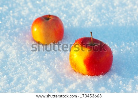 Two apples in the snow