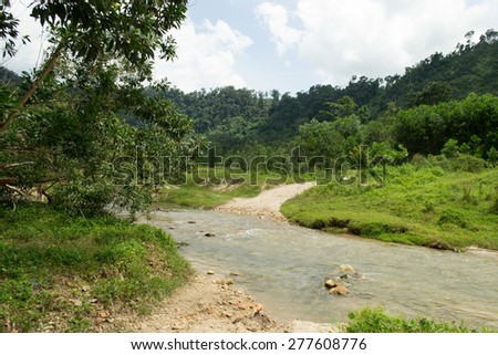 A tropical creek that is heated by thermal activity beneath the surface of the earths runs through this beautiful region near Khao Sok National Park in Thailand near Khao Lak